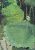 Big green lotus leaves with a hint of red bud