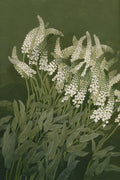 White flower spires and leaves on deep olive