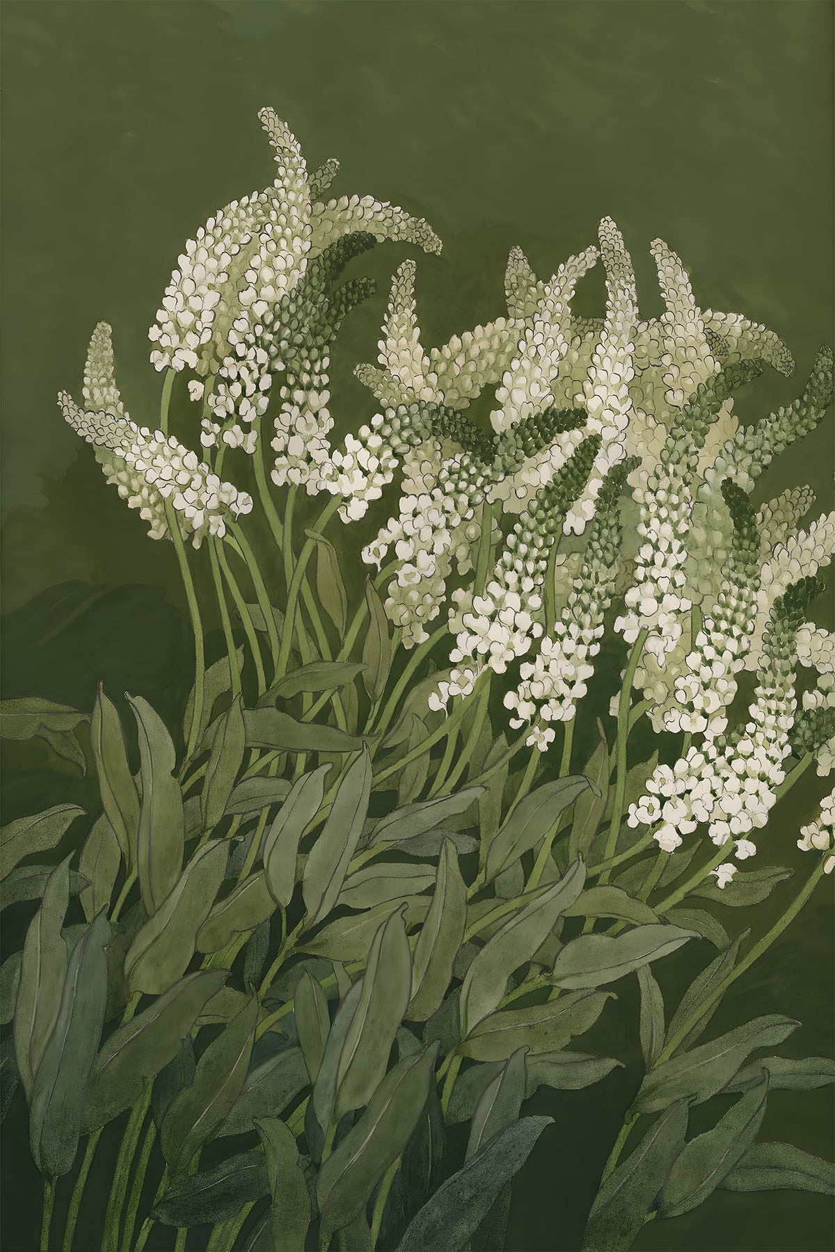 White flower spires and leaves on deep olive