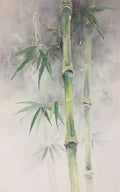 Green bamboo stems and leaves on misty grey