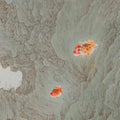 Two red goldfish over swirling grey-green waves