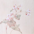 Delicate pink begonia flowers and pale leaves on cream