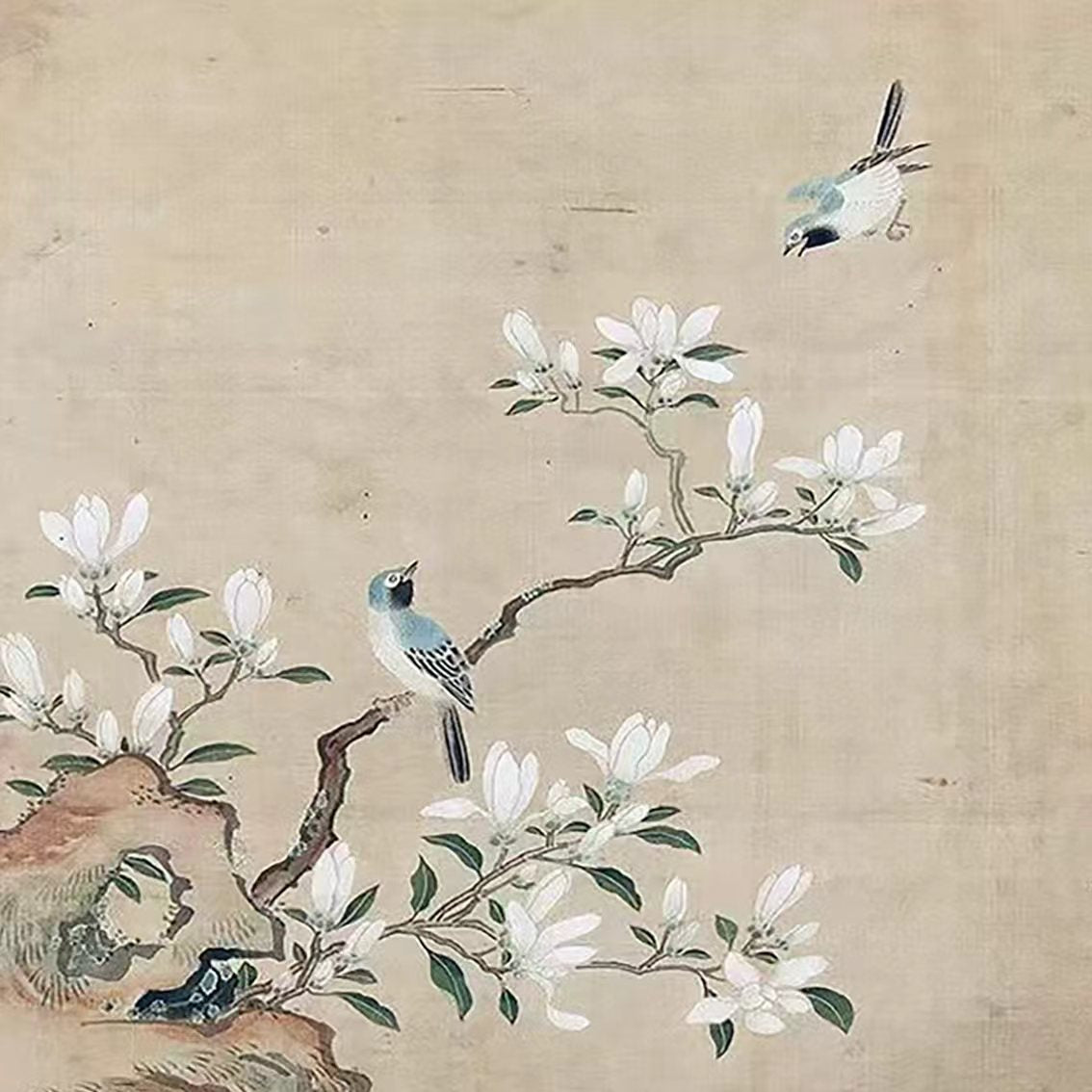 Two blue birds among white magnolia blossoms on pale silk