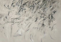 Quick black ink strokes scattered over pale grey
