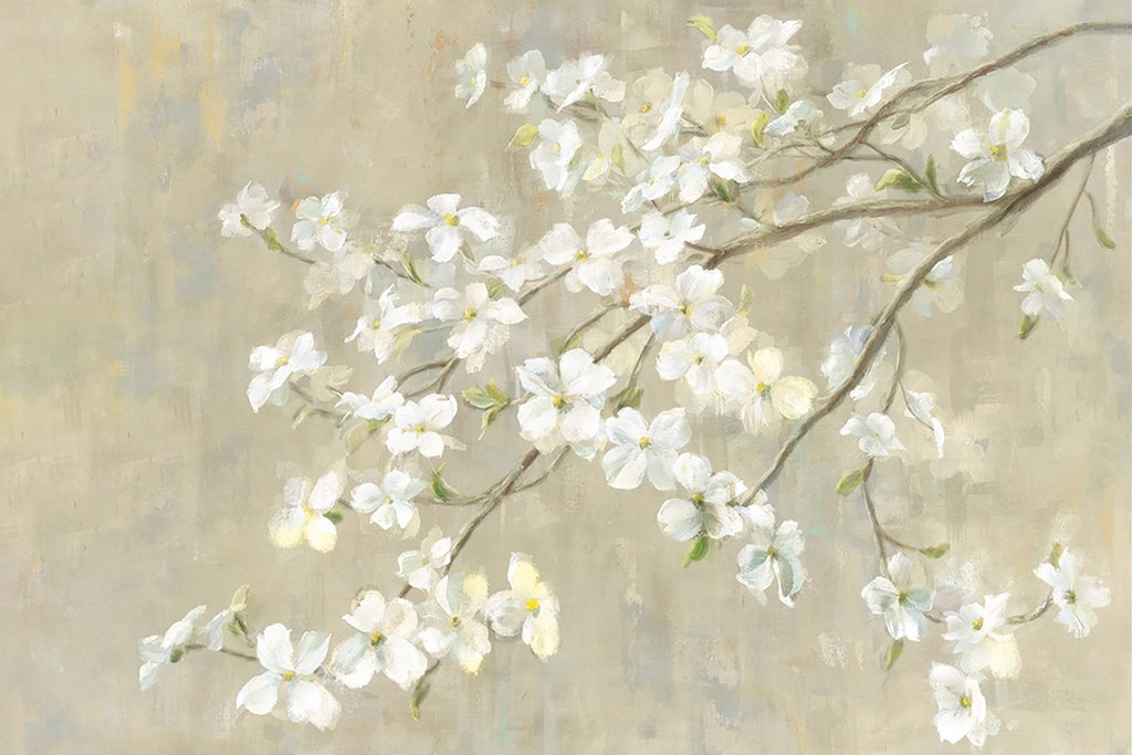 A branch of white blossoms reaching across a soft grey ground