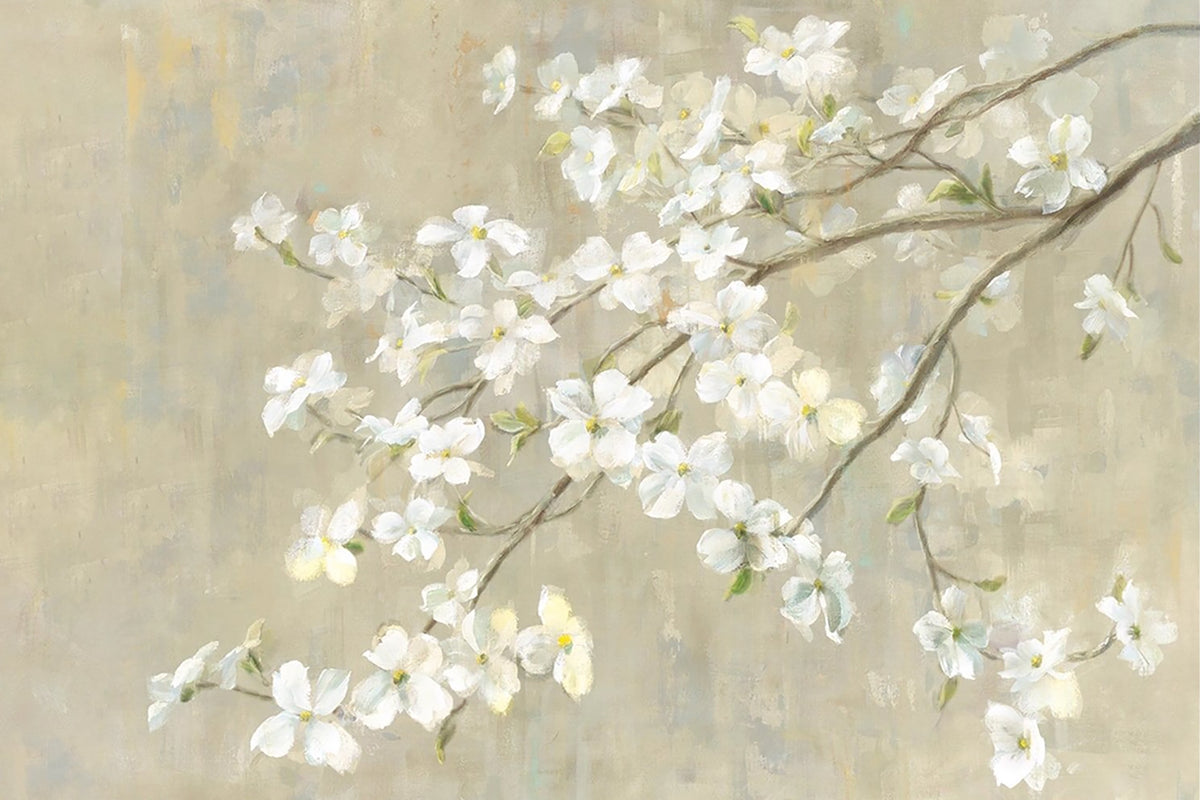 A branch of white blossoms reaching across a soft grey ground