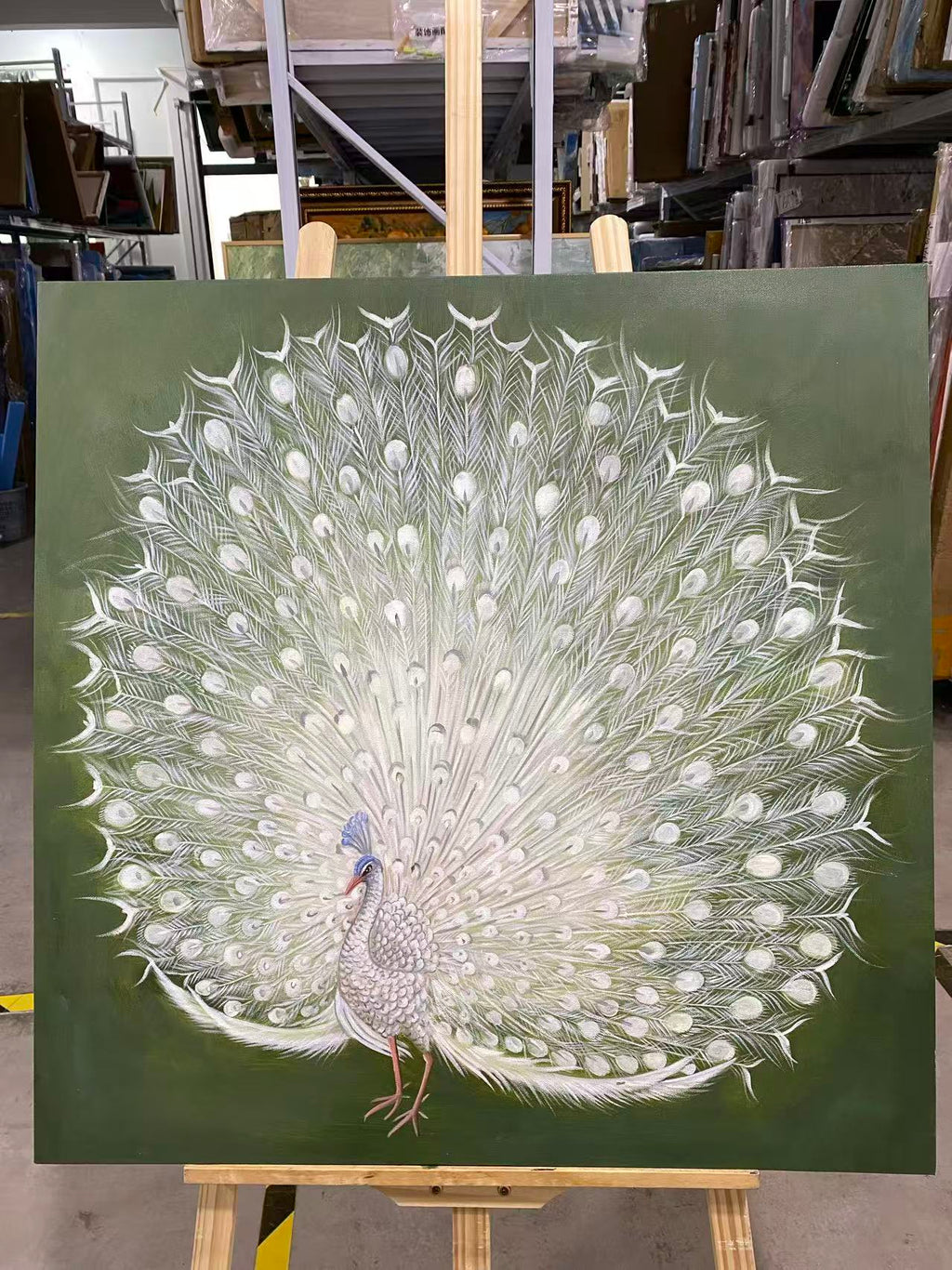 White Peacock