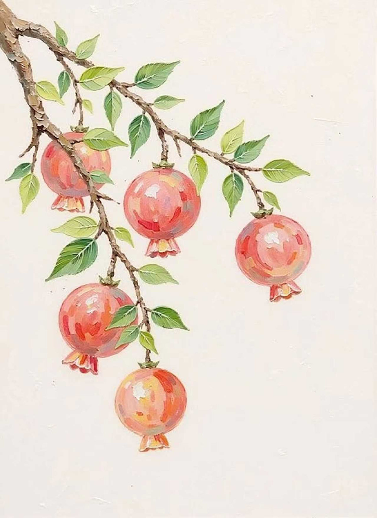 Ripe red pomegranates hanging from a leafy branch on white