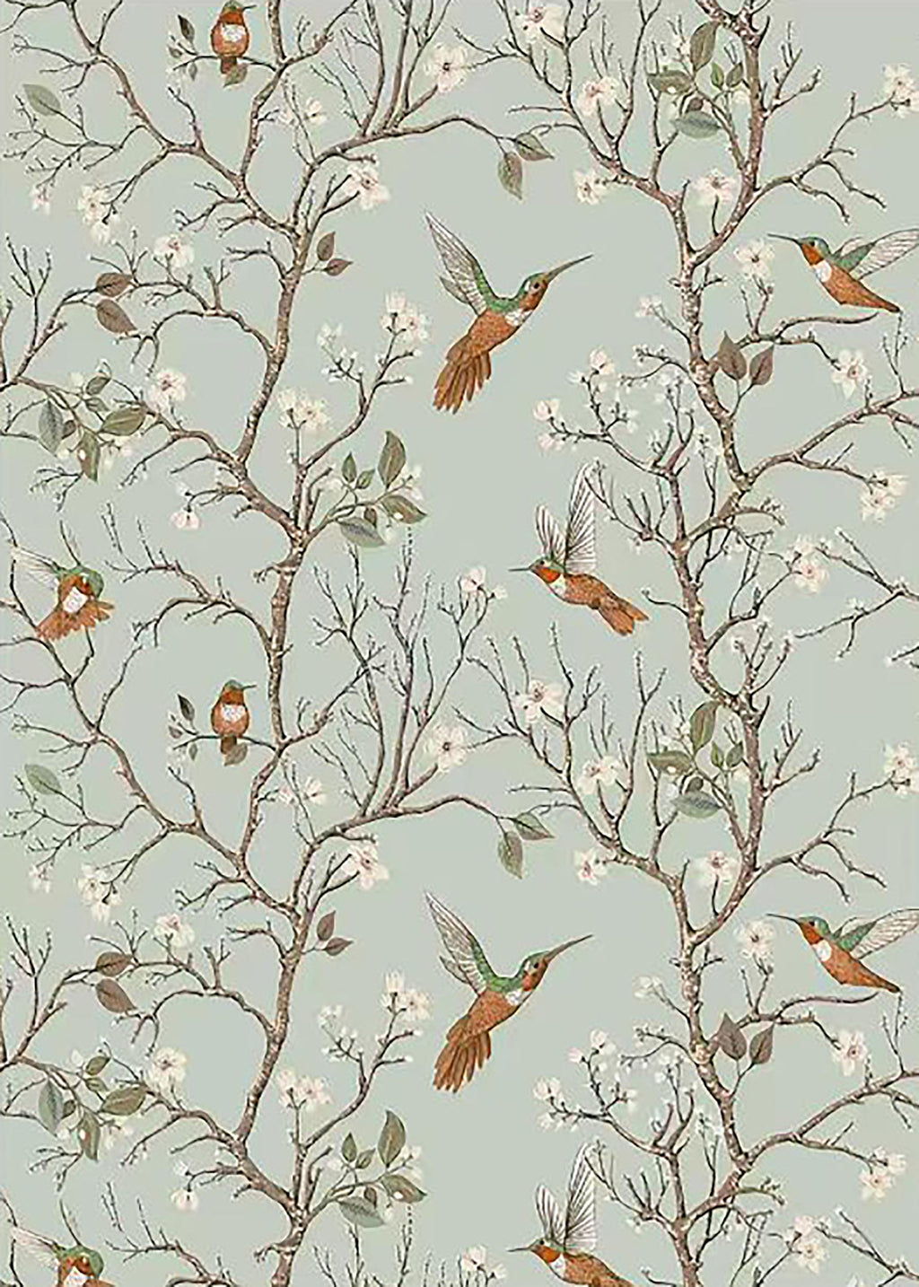 Hummingbirds among slender blossoming branches on pale duck-egg blue