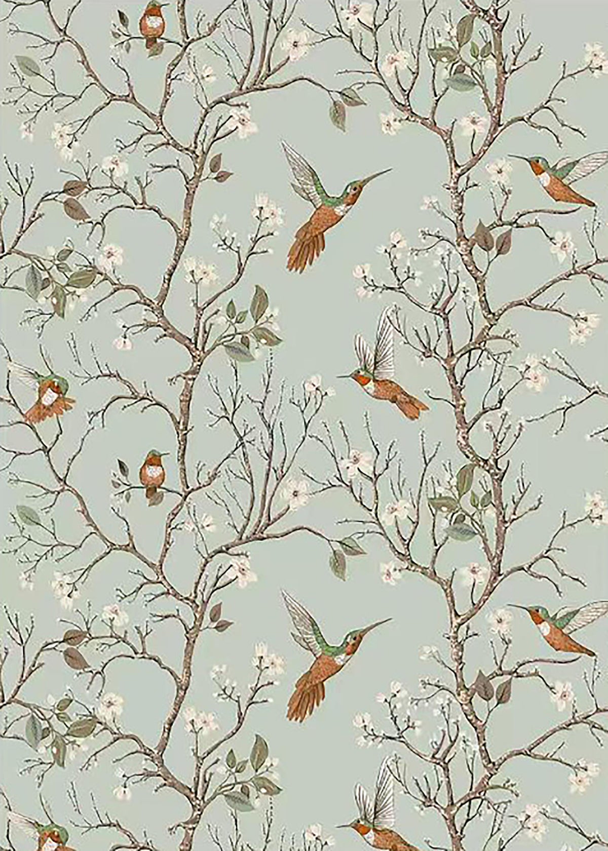 Hummingbirds among slender blossoming branches on pale duck-egg blue