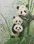 Three pandas peeking out of green bamboo