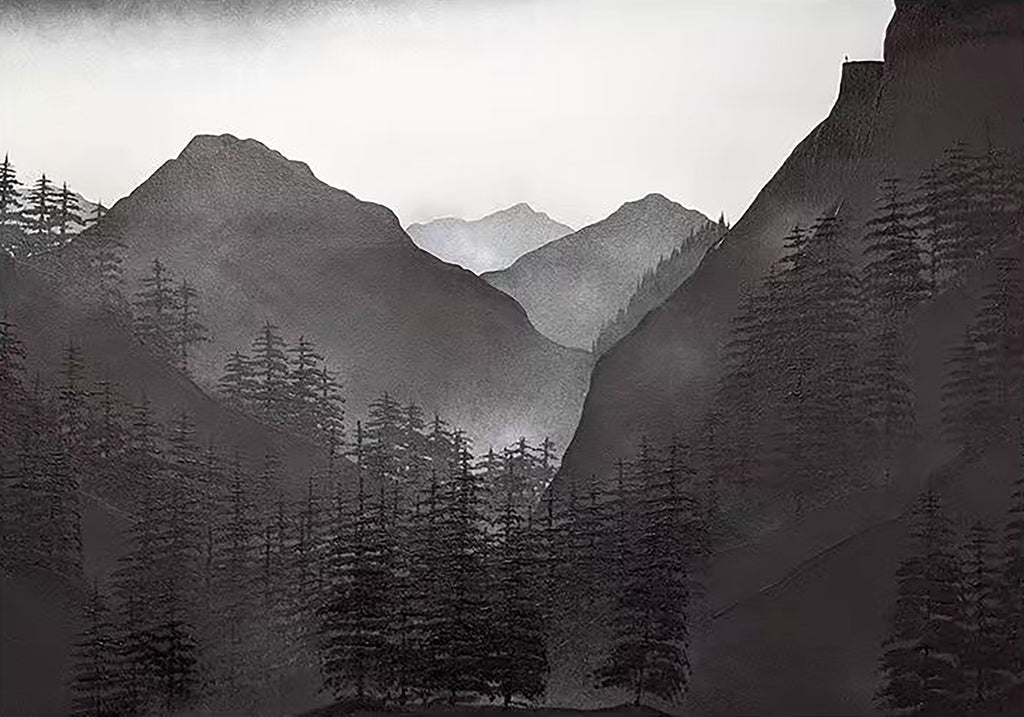 Dark pine-covered slopes fading into grey mountain mist