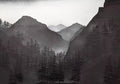 Dark pine-covered slopes fading into grey mountain mist