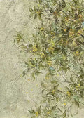 Dense olive and gold foliage spreading over pale stone