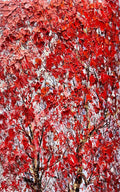 A dense canopy of scarlet leaves in thick palette-knife strokes