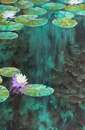 Lily pads and a violet water lily over dark green water