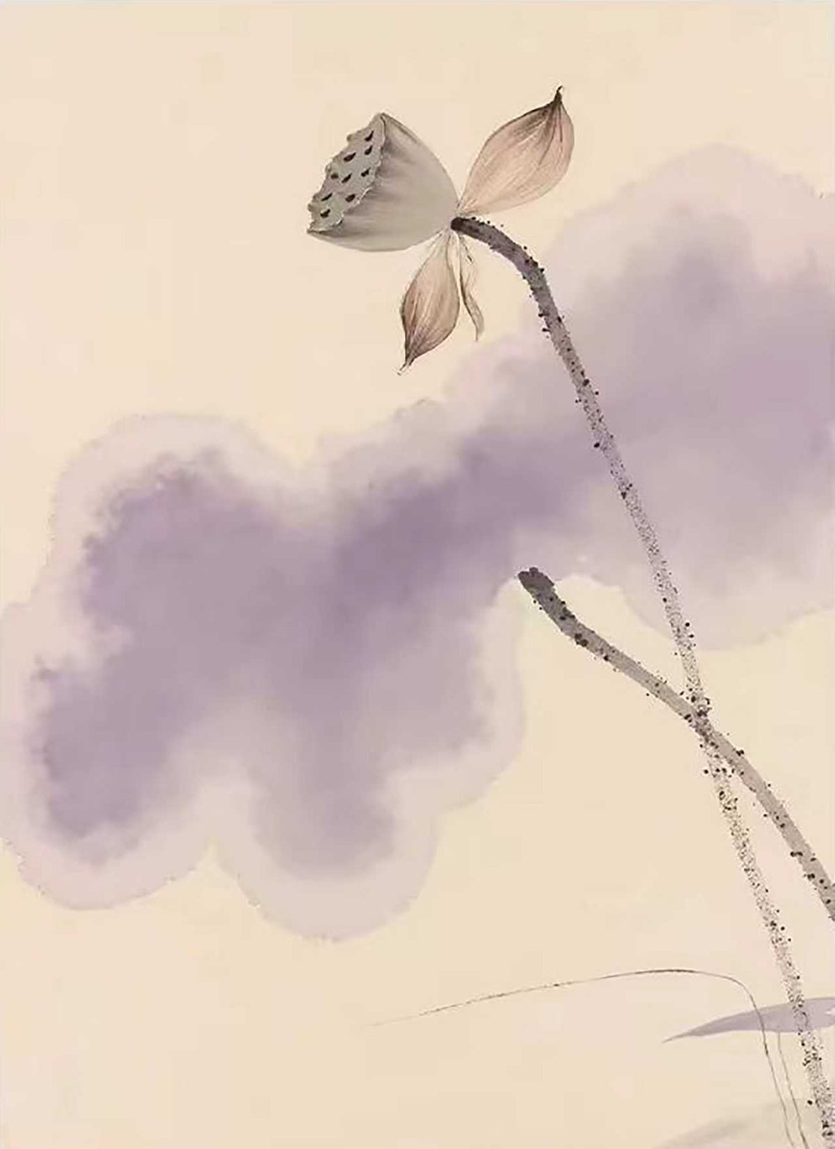 A dry lotus pod and stem over a soft lilac cloud