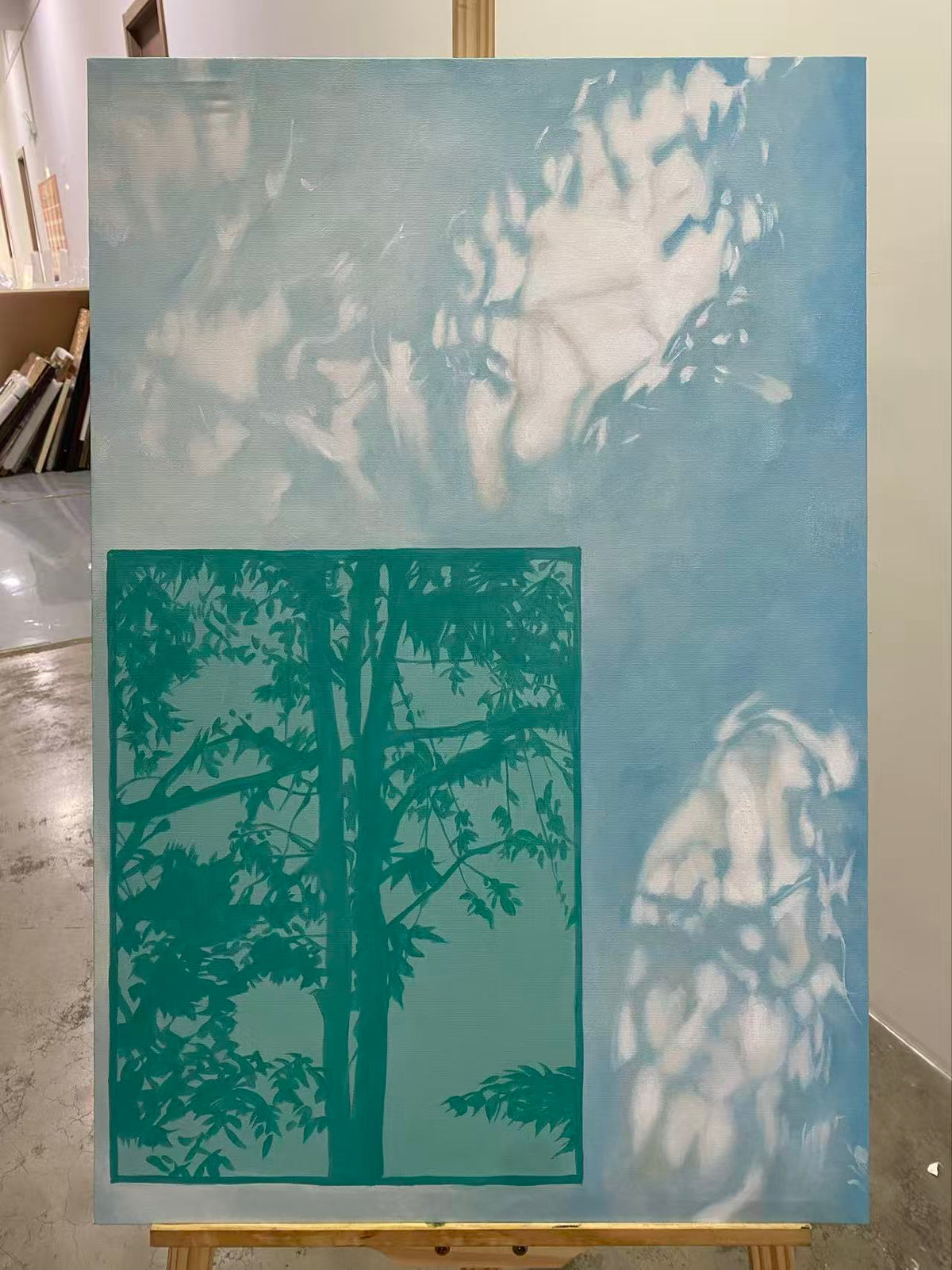 Teal Window Shadow