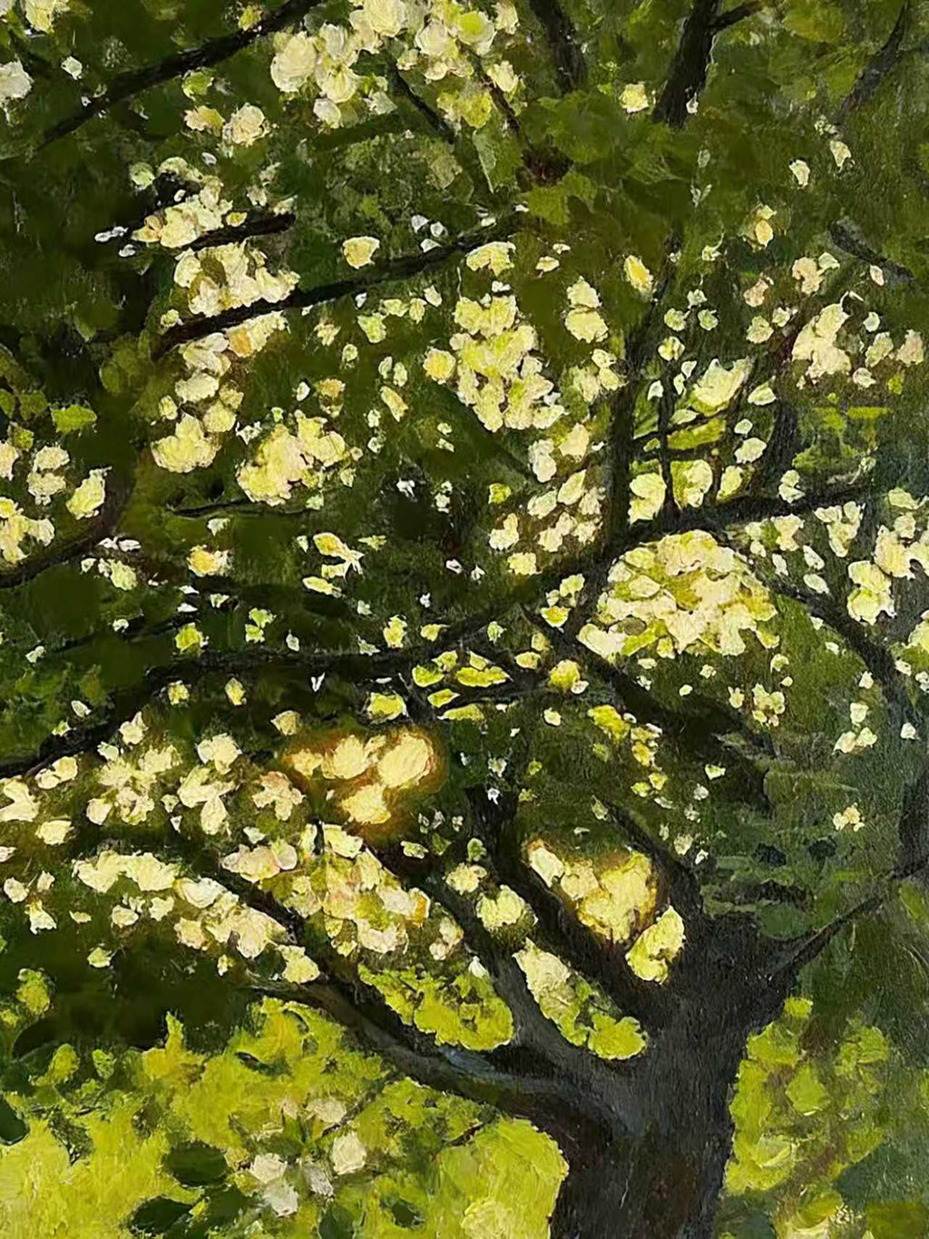 A dark-limbed tree covered in bright yellow-green blossom