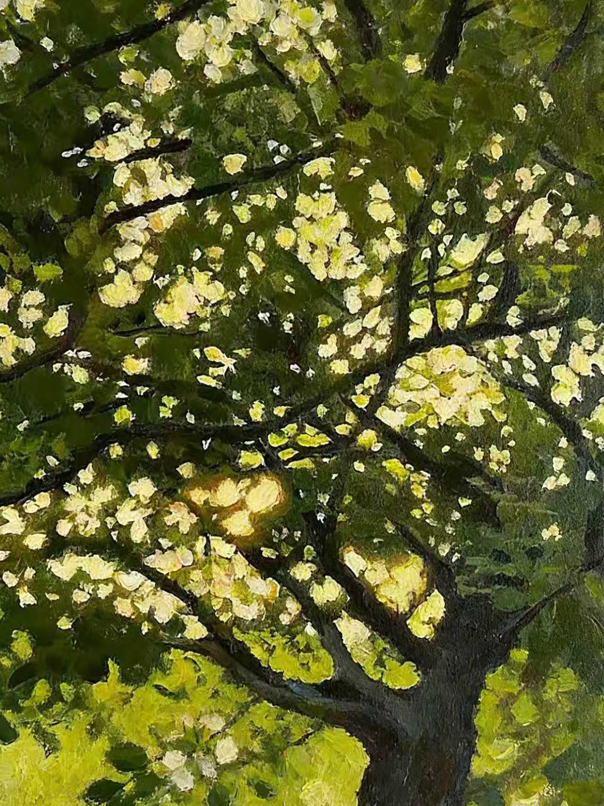A dark-limbed tree covered in bright yellow-green blossom