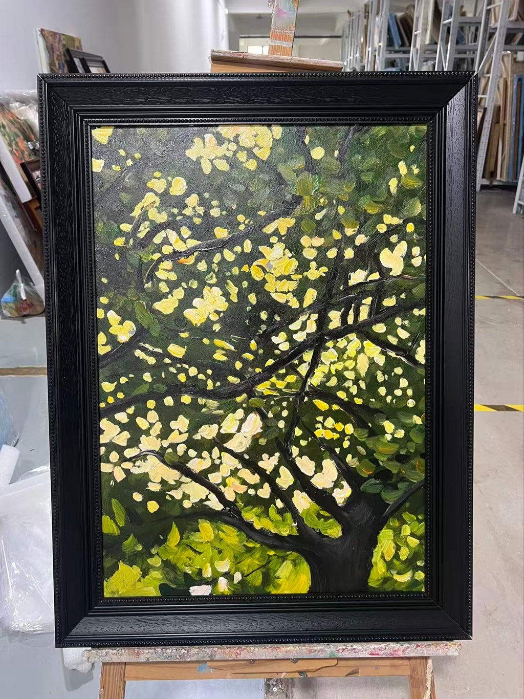 Tree in Spring Sunlight