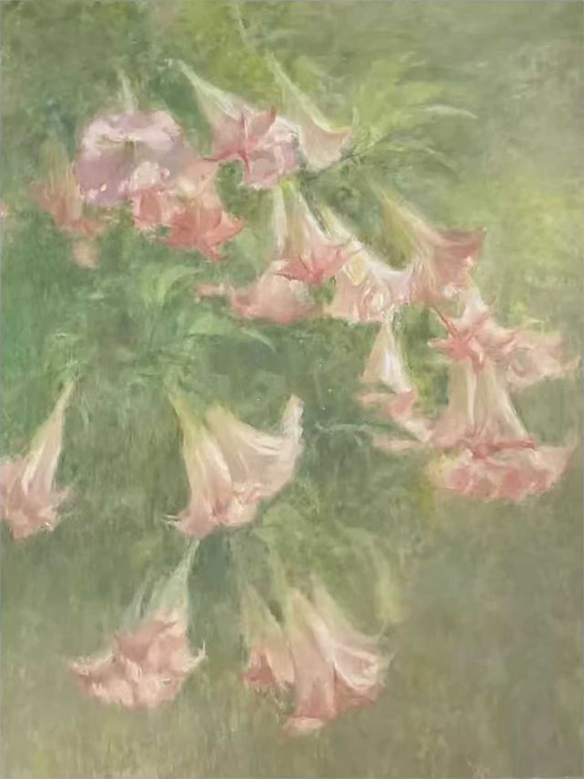 Pink trumpet flowers hanging over a soft green ground