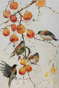 Small birds among a branch of orange persimmons on pale grey