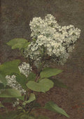 A spray of white lilac and broad leaves on dark umber