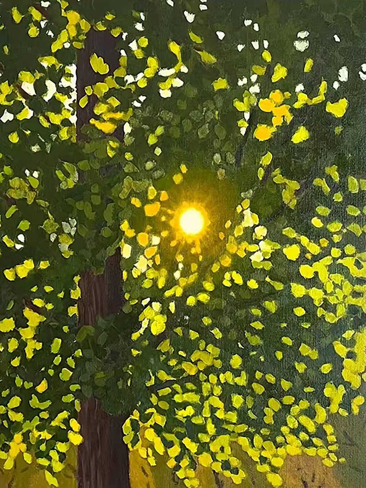 A low sun blazing through dense dabs of green and yellow leaves