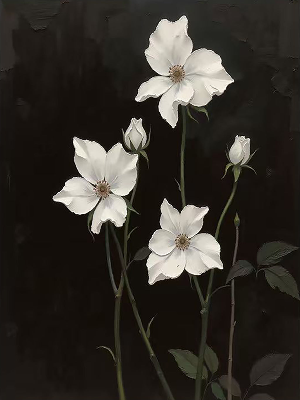White open blooms on dark stems against black