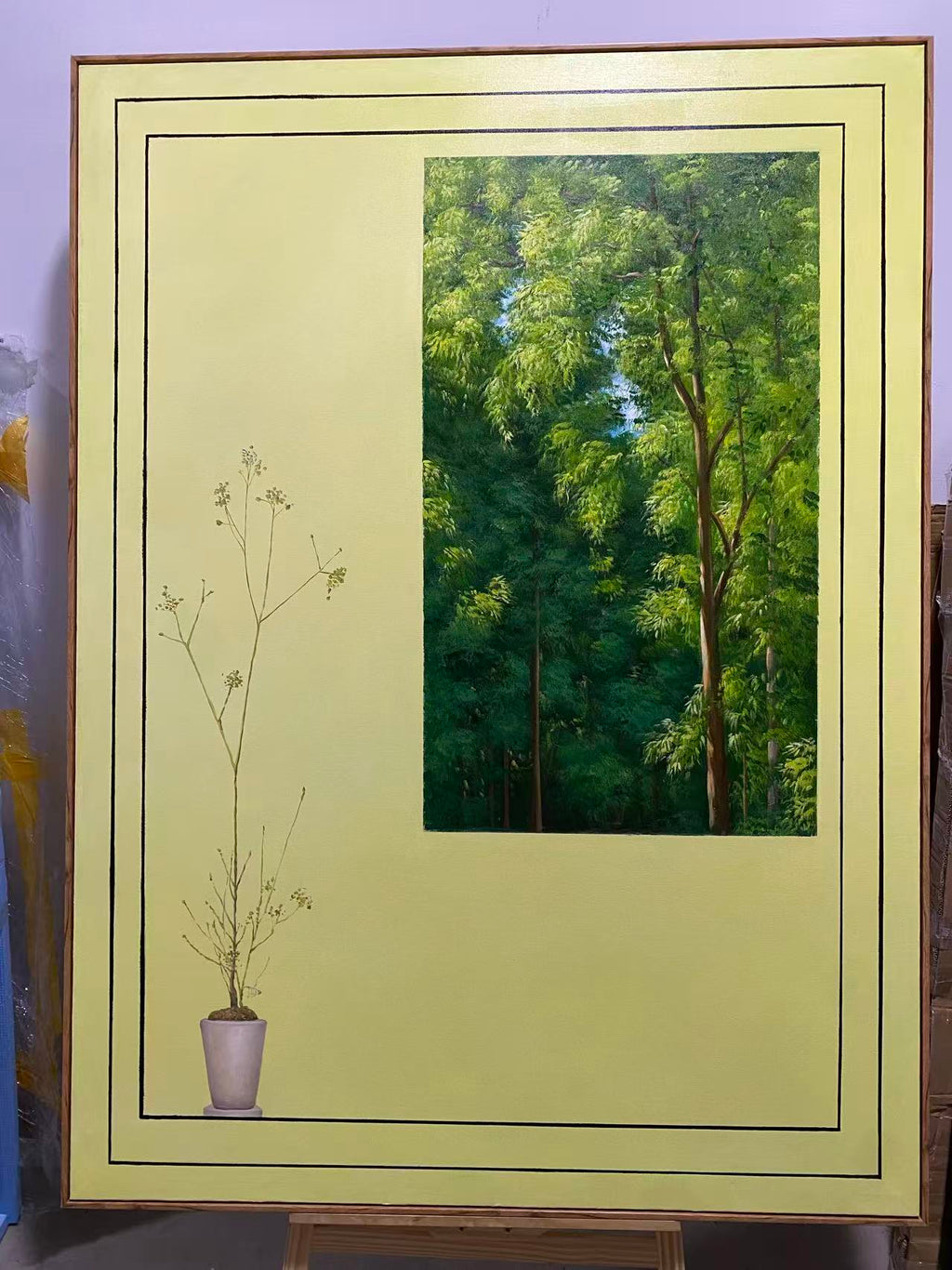 Window onto the Woods