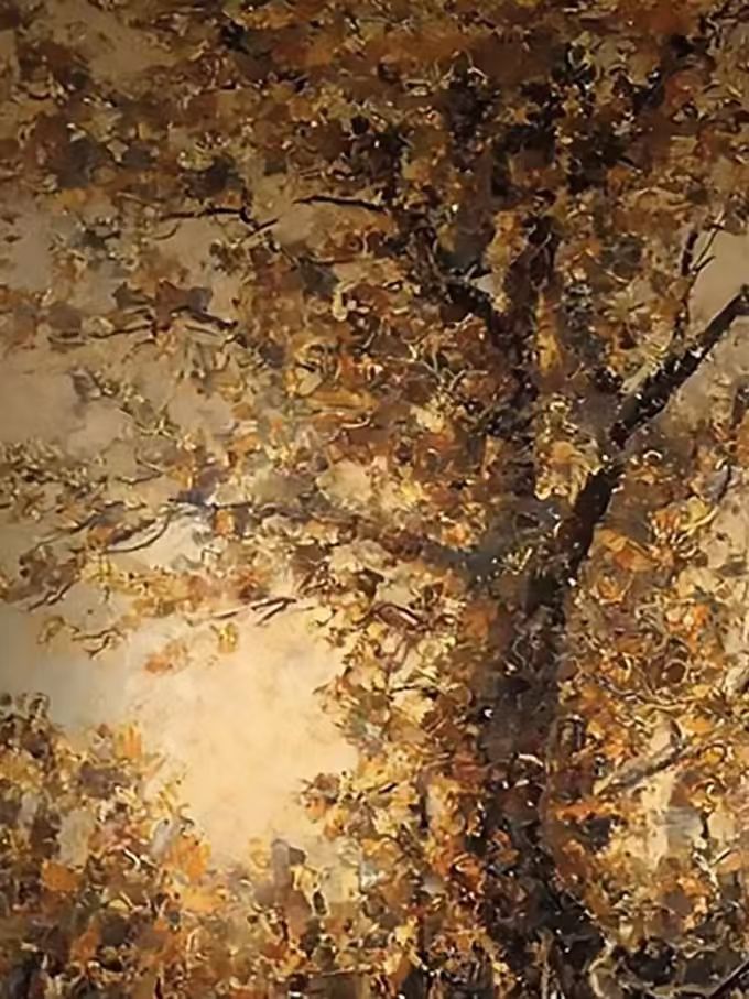 A great tree full of amber leaves lit from behind