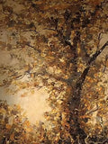 A great tree full of amber leaves lit from behind