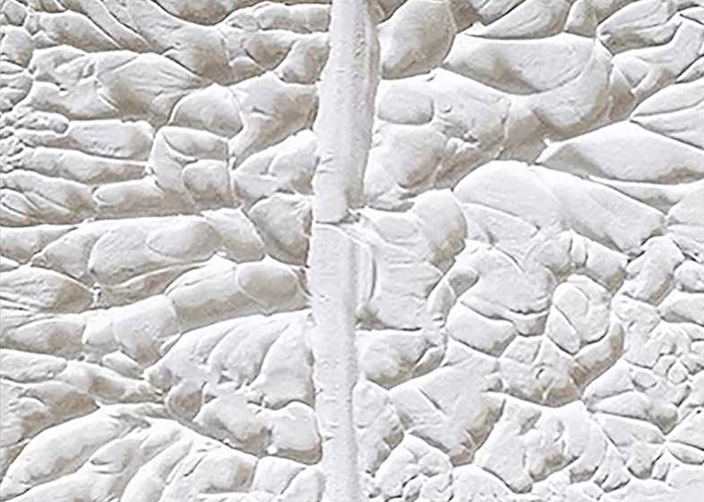 A single giant leaf sculpted in white plaster-like paint