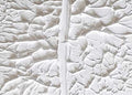 A single giant leaf sculpted in white plaster-like paint