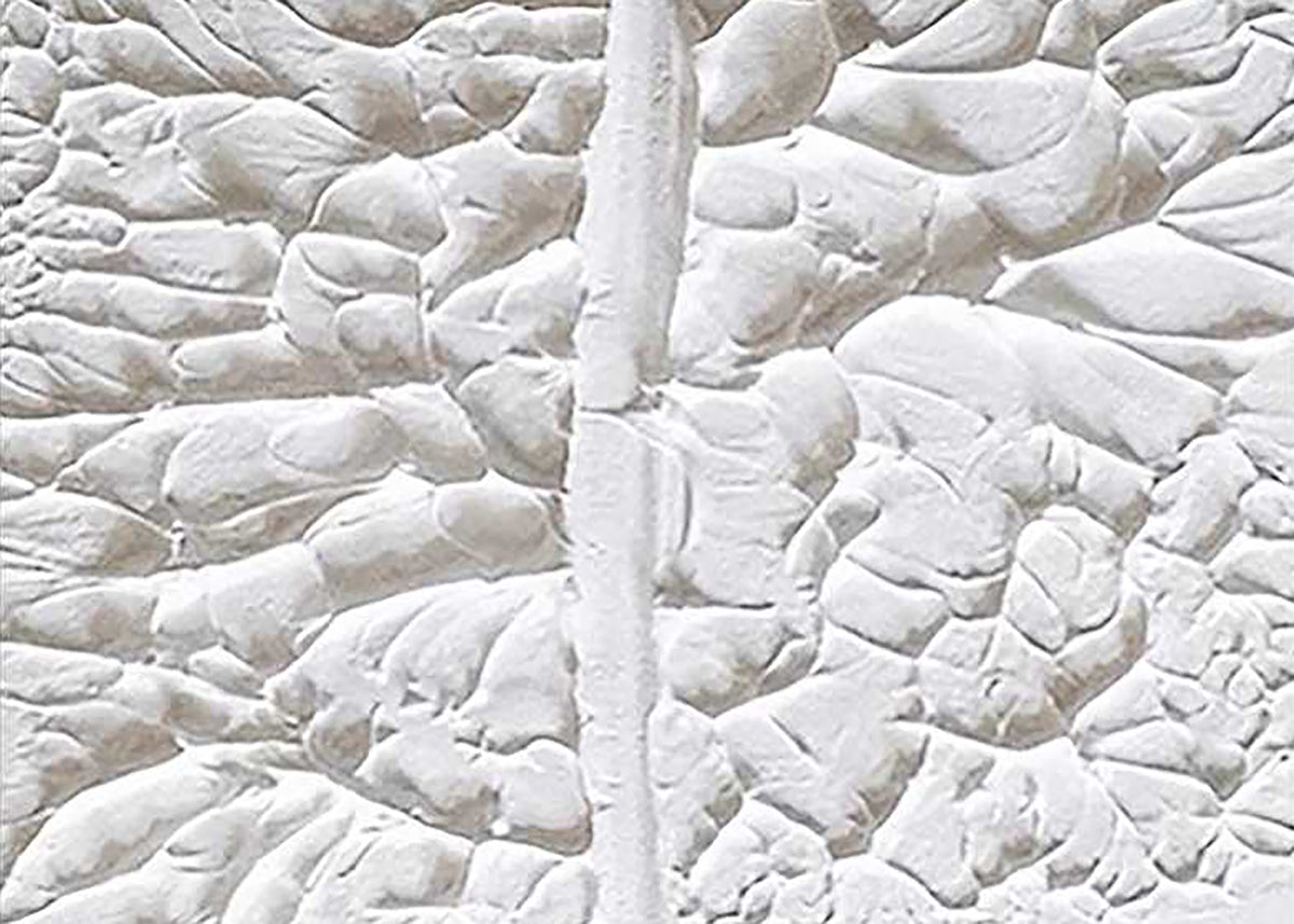 A single giant leaf sculpted in white plaster-like paint