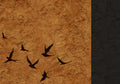 Black swallows wheeling over a rough ochre field beside a black band