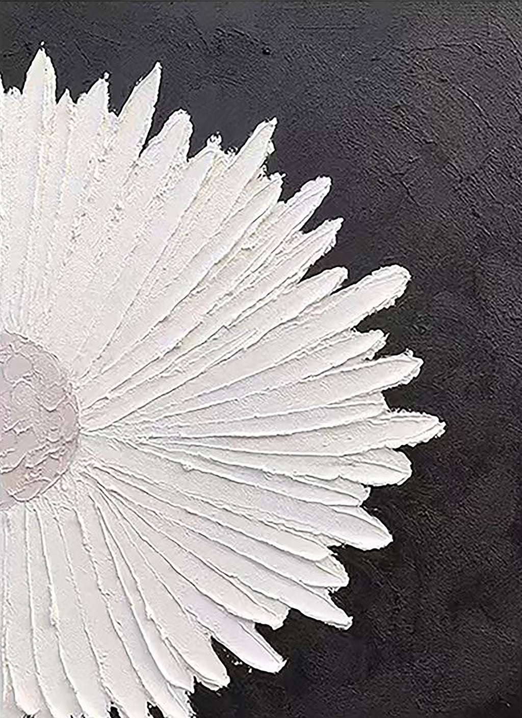 A sunburst of white sculpted petals on black