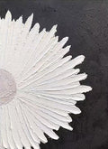 A sunburst of white sculpted petals on black