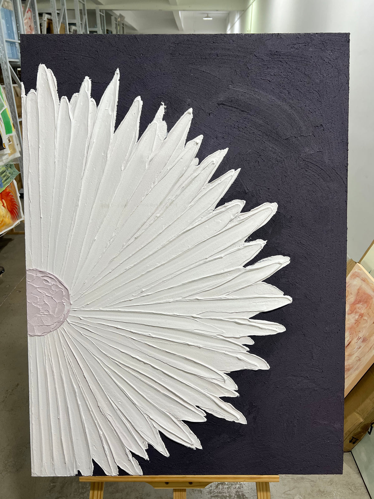 White Petal Burst on Black
