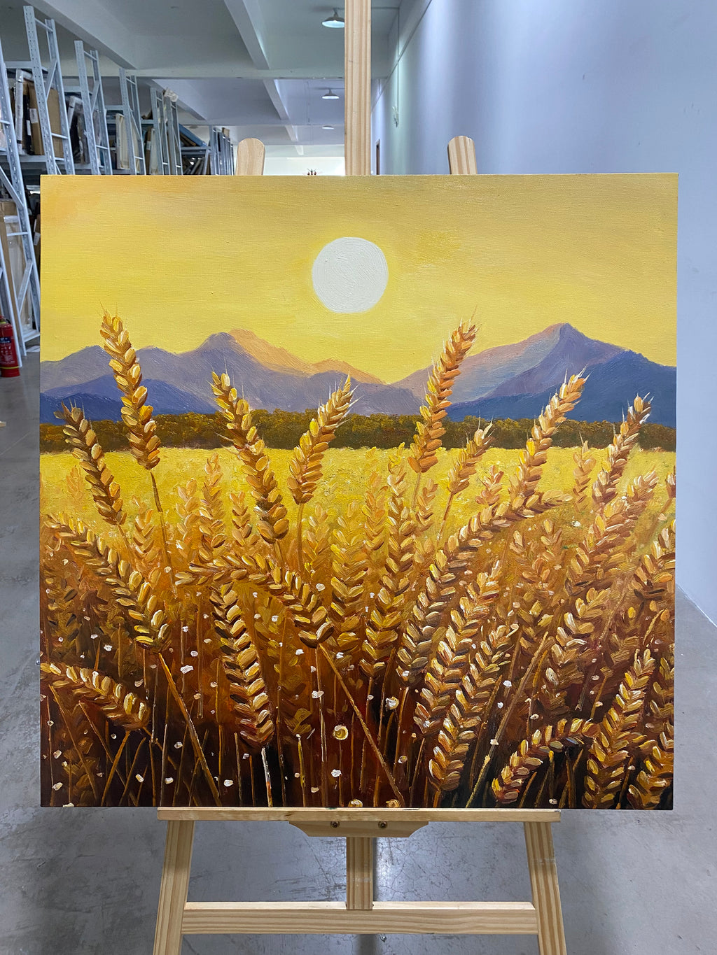 Golden Wheat at Sunset