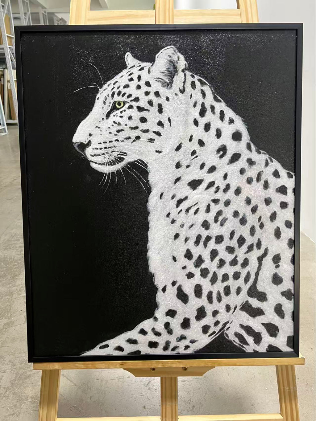 White Leopard on Black
