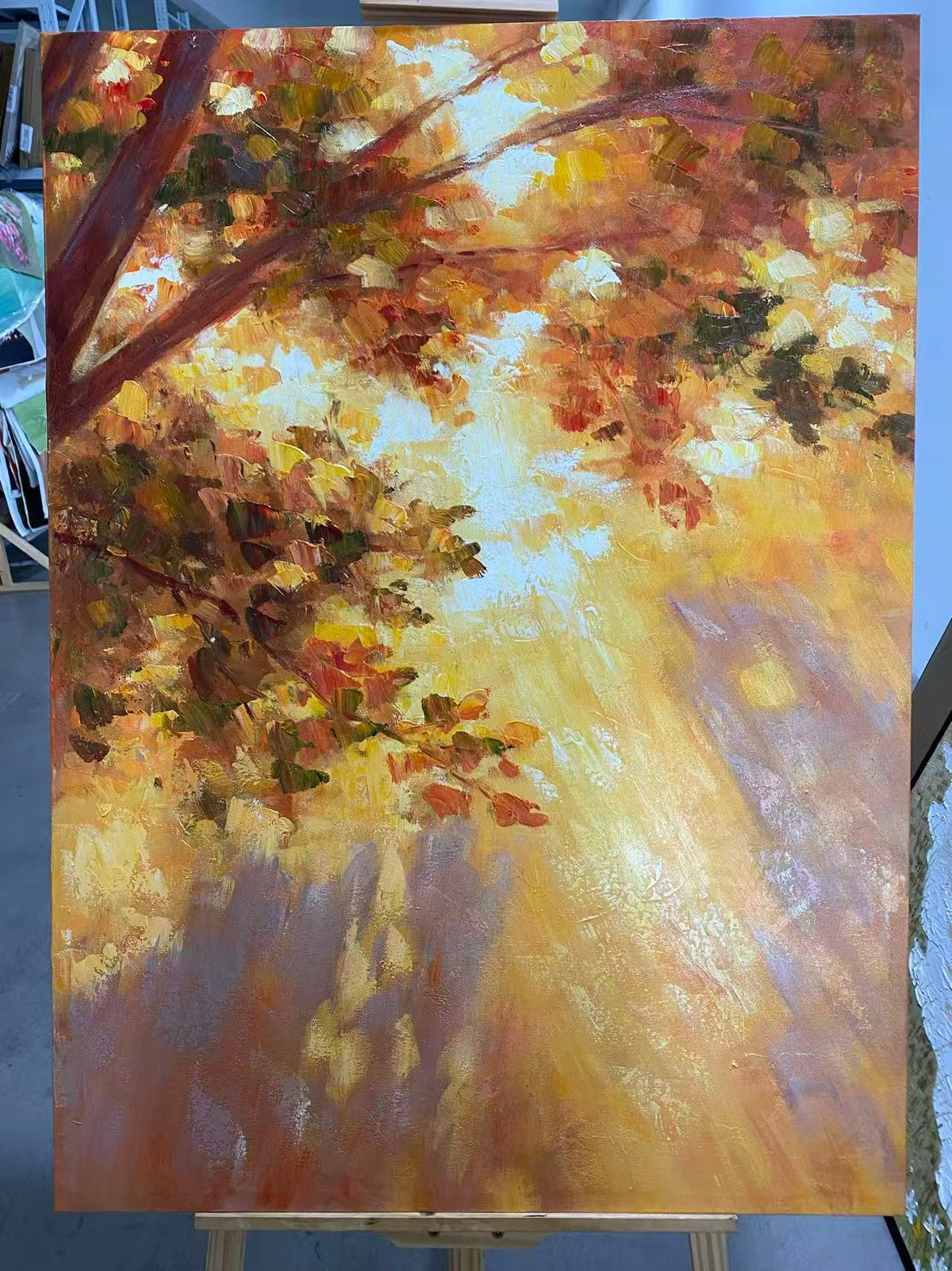 Autumn Light through Trees