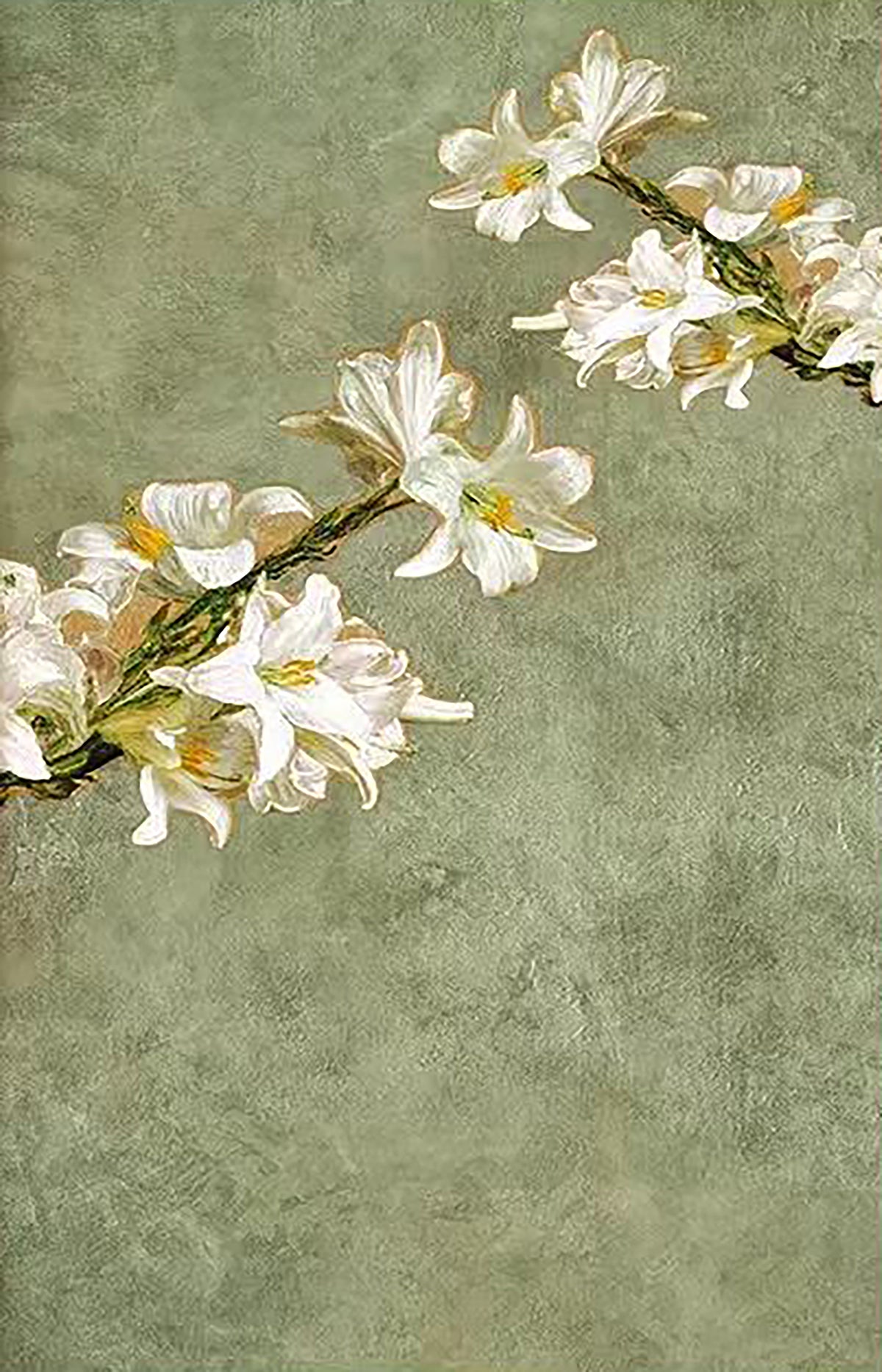 A spray of white lilies across a soft green ground