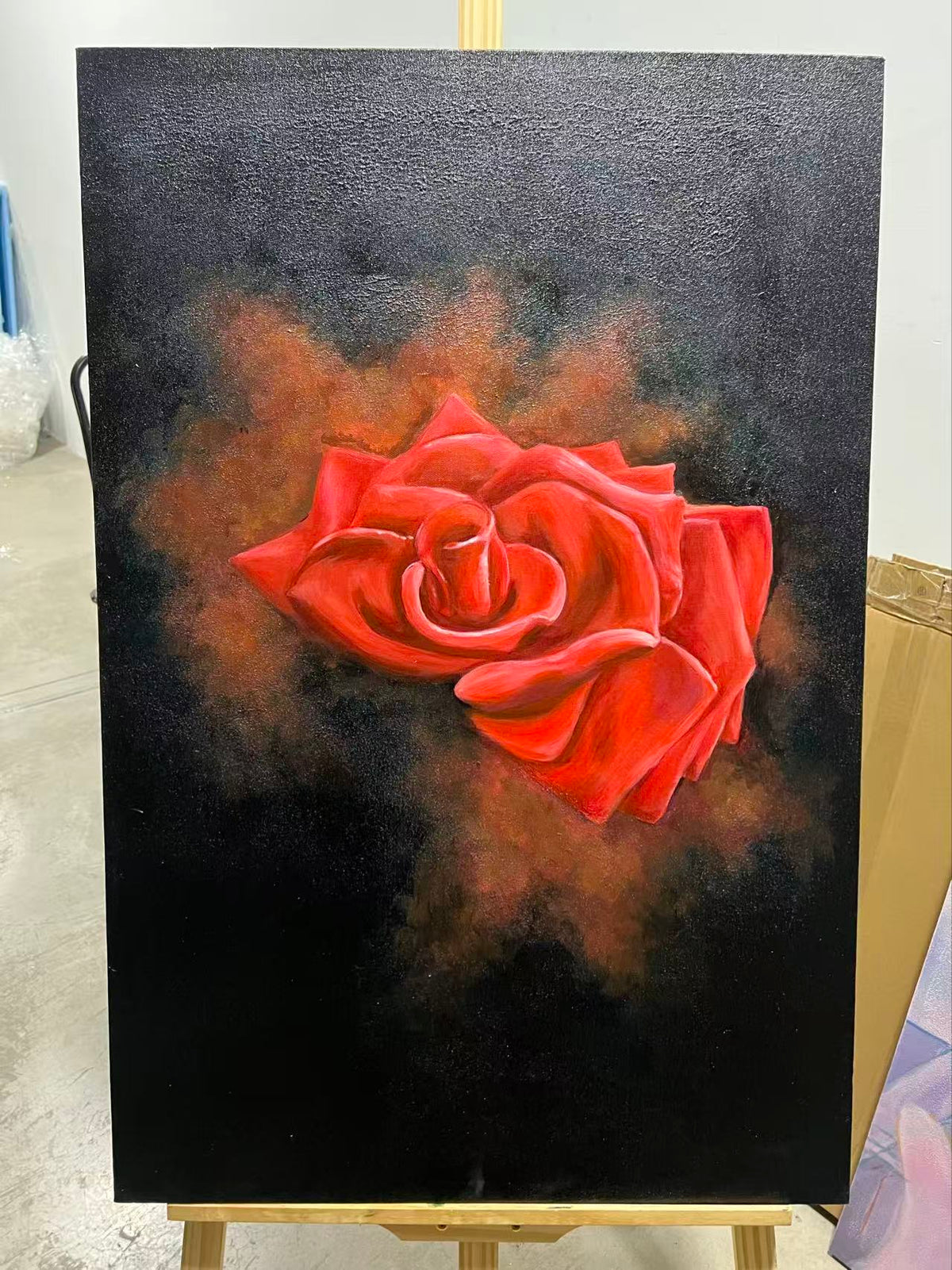 Red Rose in Darkness
