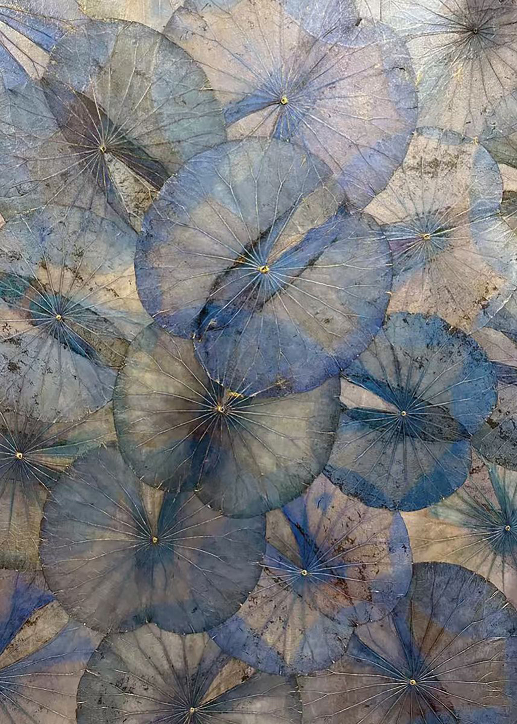 Overlapping blue-grey lotus leaves in fine detail