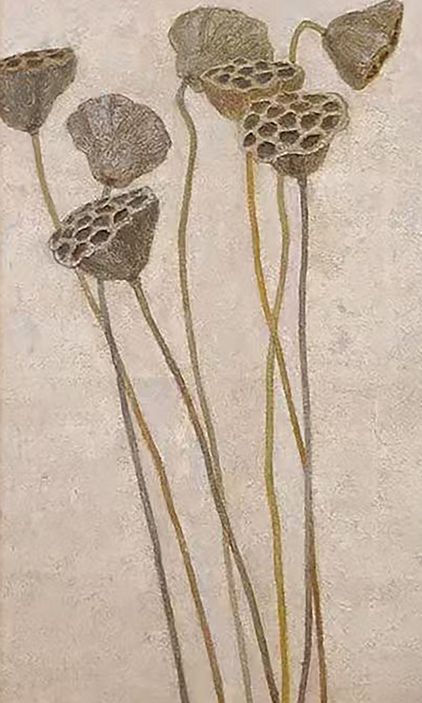 Dried lotus seed pods on tall stems over pale linen