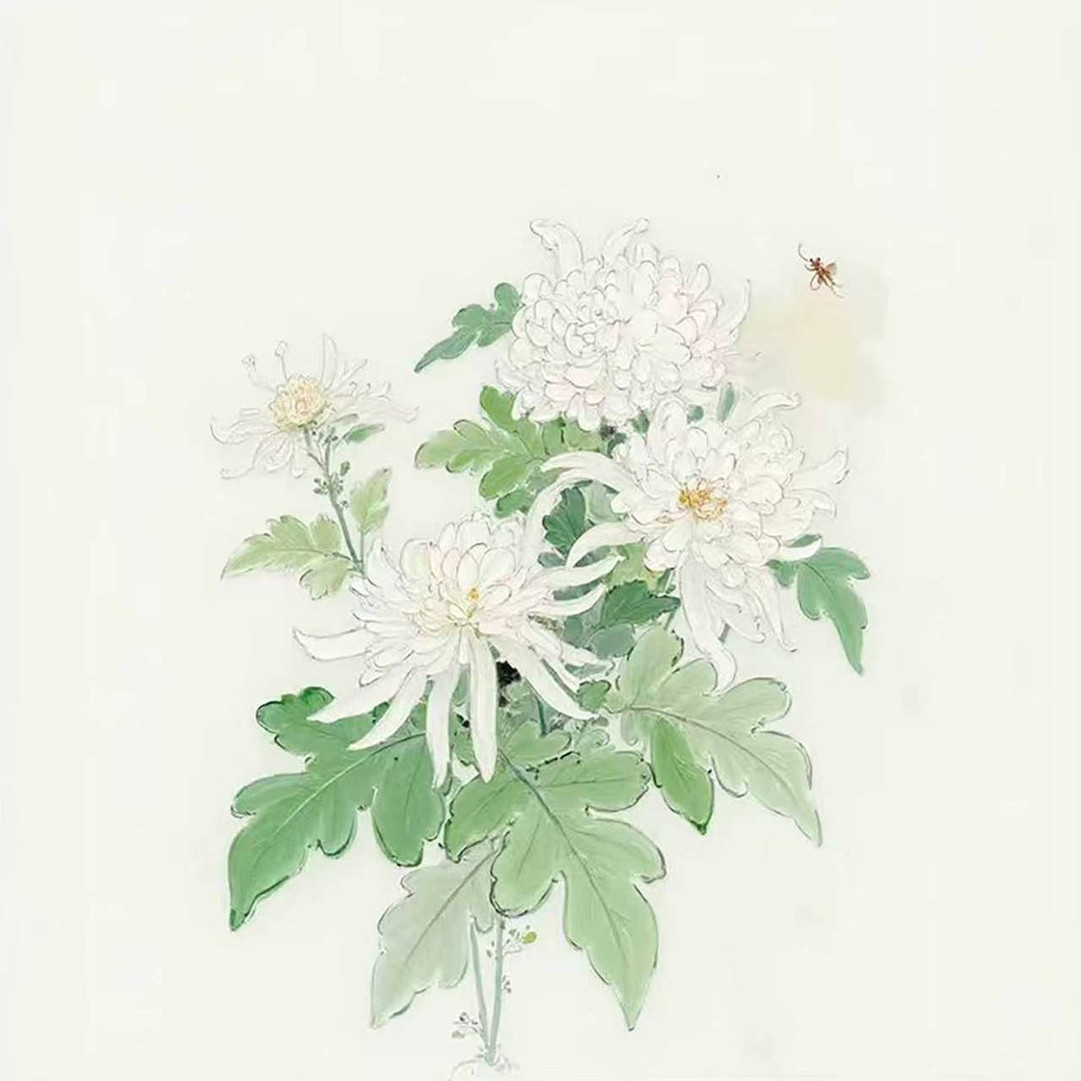 White chrysanthemums and leaves on pale cream with a bee