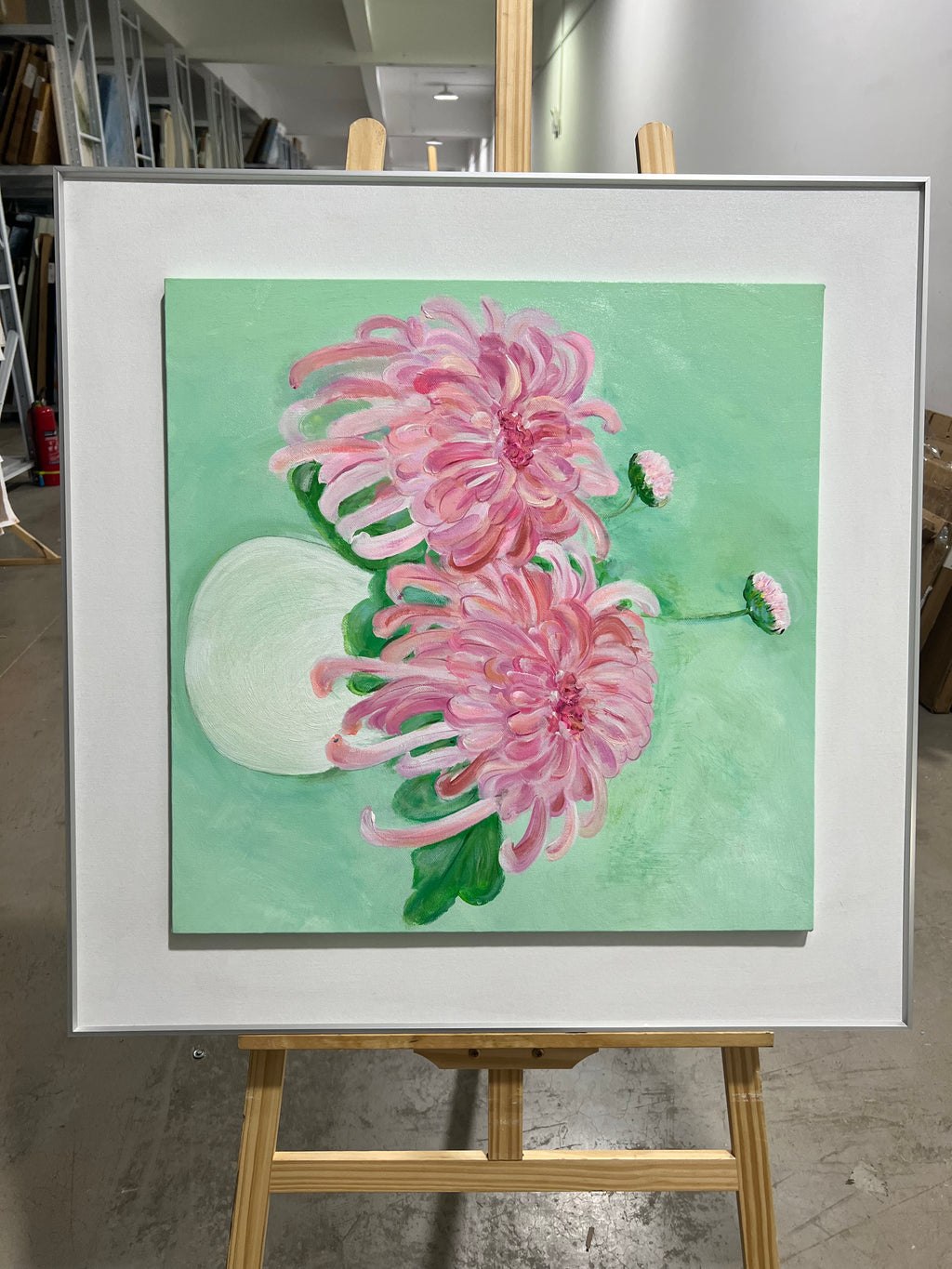 Pink Chrysanthemums in a White Pot