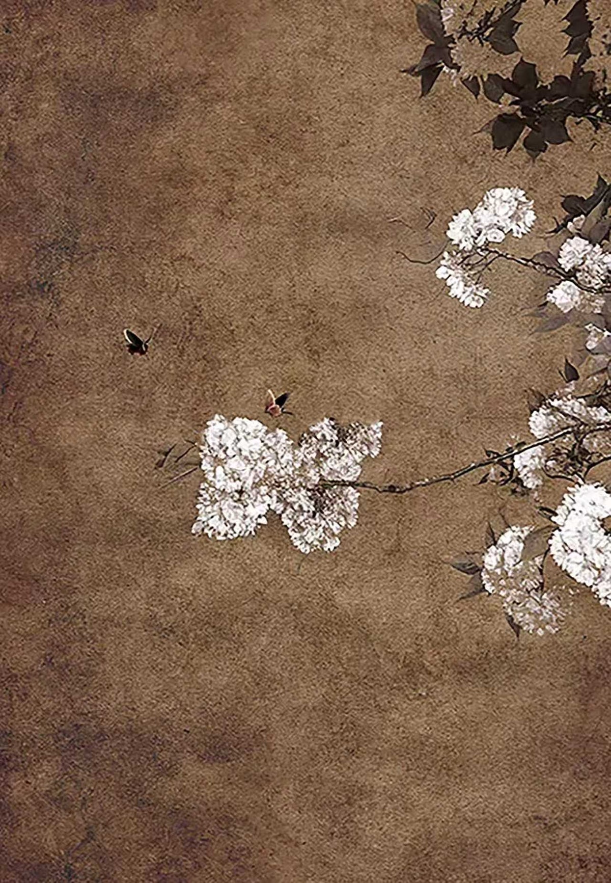 Pale blossoms and a bee on dark umber